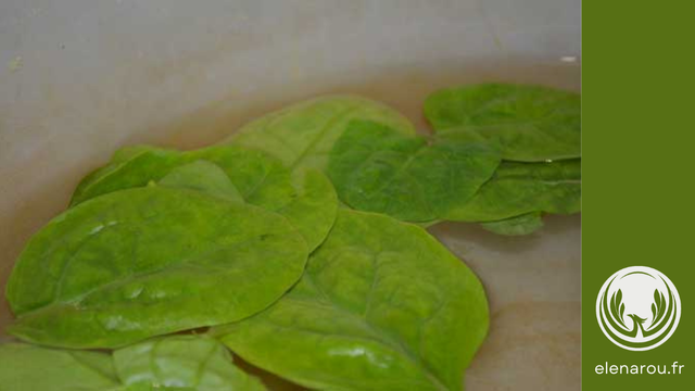lavage des épinards