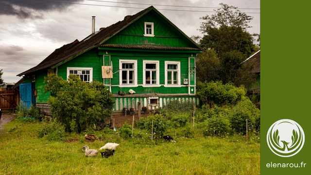 maison verte dans la prairie
