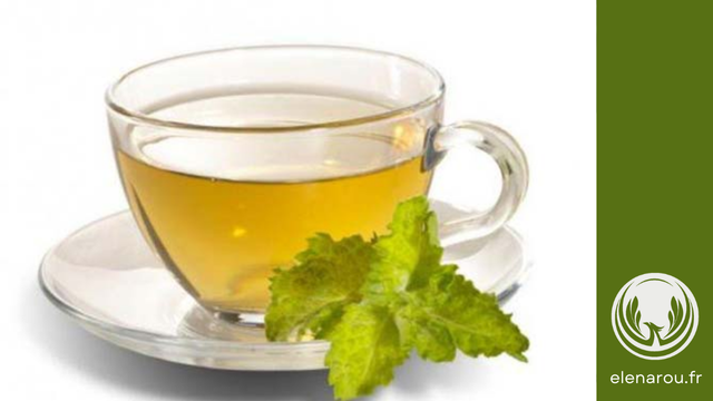 infusion ou tisane