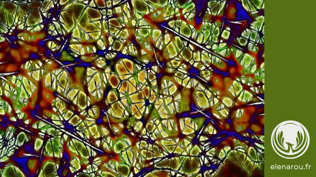 réseau de neurones