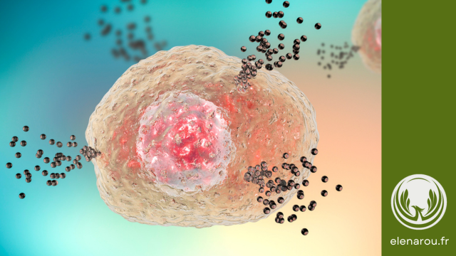 libération d'histamine par une cellule mastocyte
