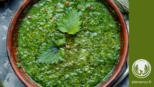pesto-d-ortie