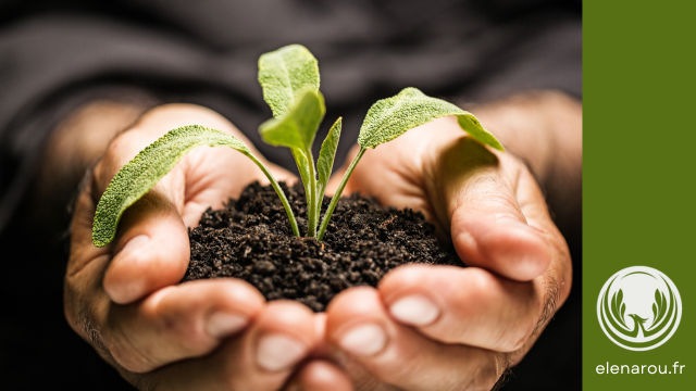 cultiver les plantes de la terre