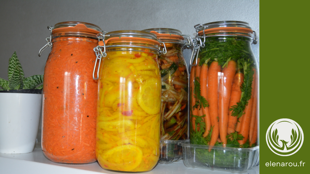 légumes lacto-fermentés colorés : carottes, citrons et oignons rouges