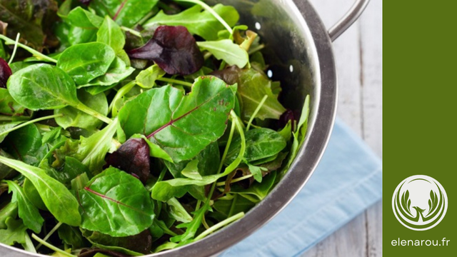 feuilles de salade fraîches