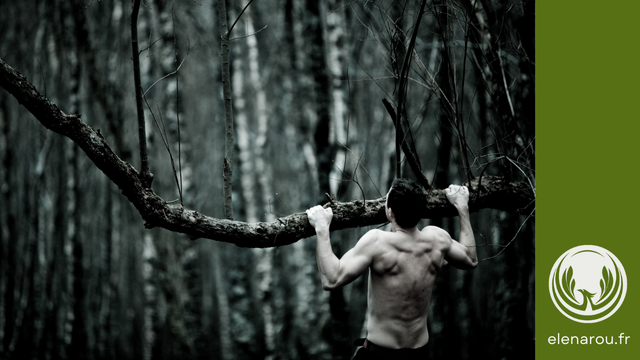 un homme fait des tractions sur une branche d'arbre