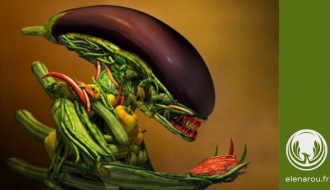 alien tout en légumes !